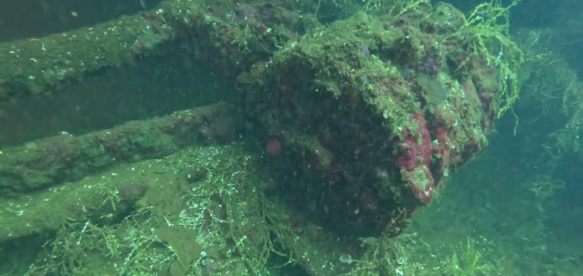 fujikawa maru wreck dive, Chuuk Lagoon