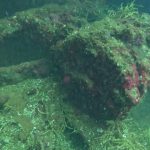 fujikawa maru wreck dive, Chuuk Lagoon