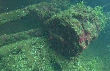 fujikawa maru wreck dive, Chuuk Lagoon